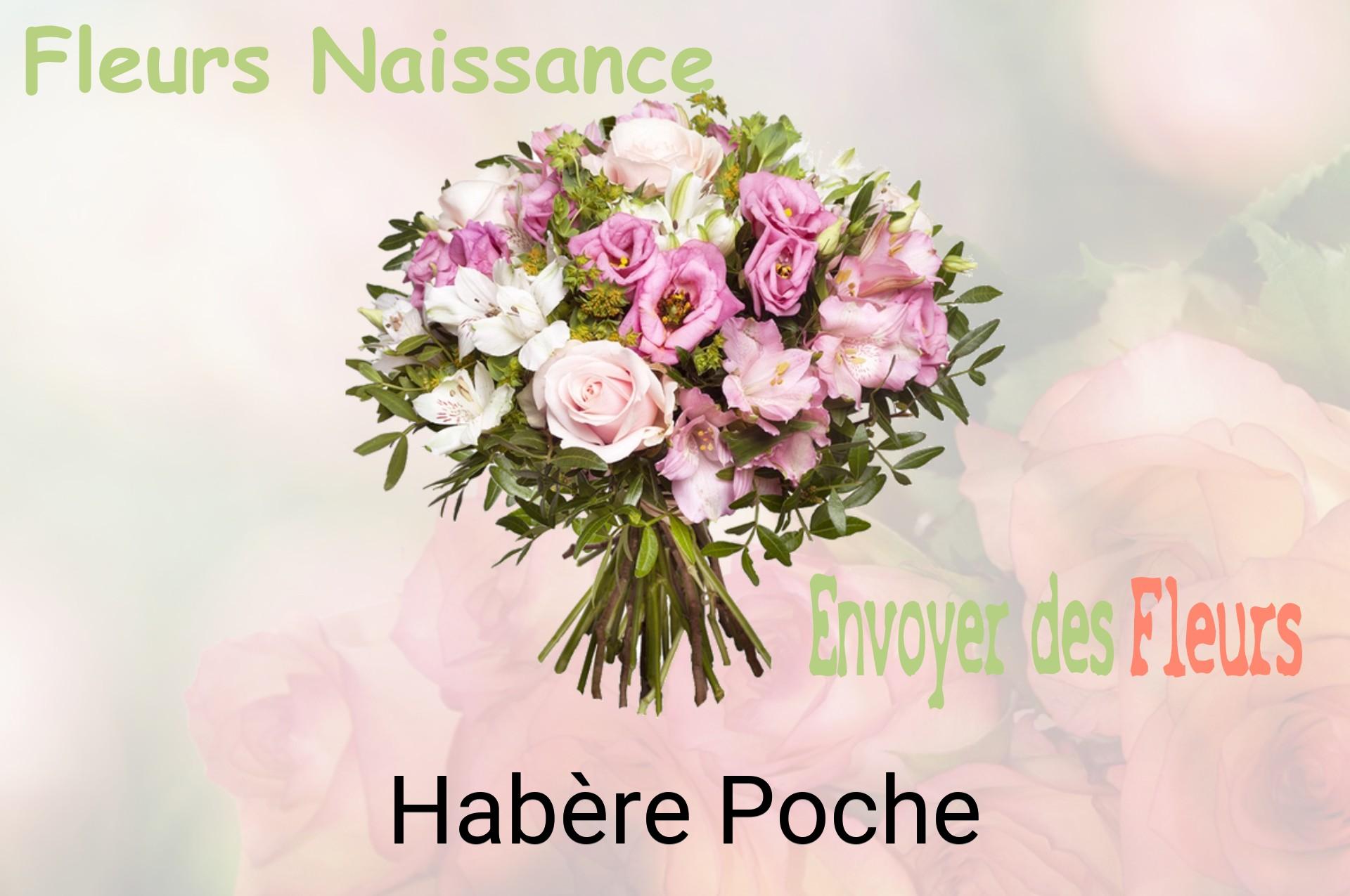 Bouquet de fleurs de naissance livré à Habère-Poche