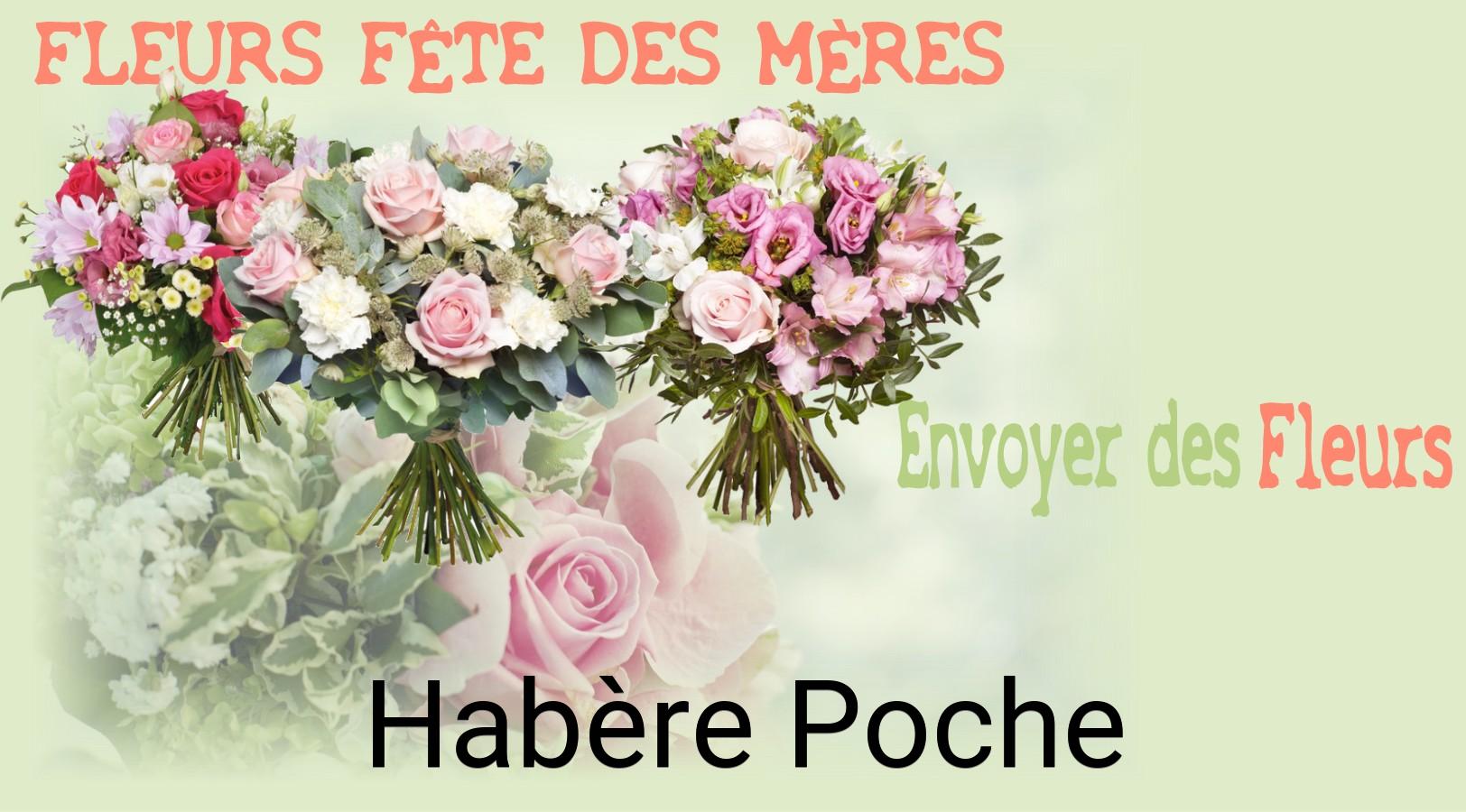 Bouquet de Fête des Mères livré à Habère-Poche